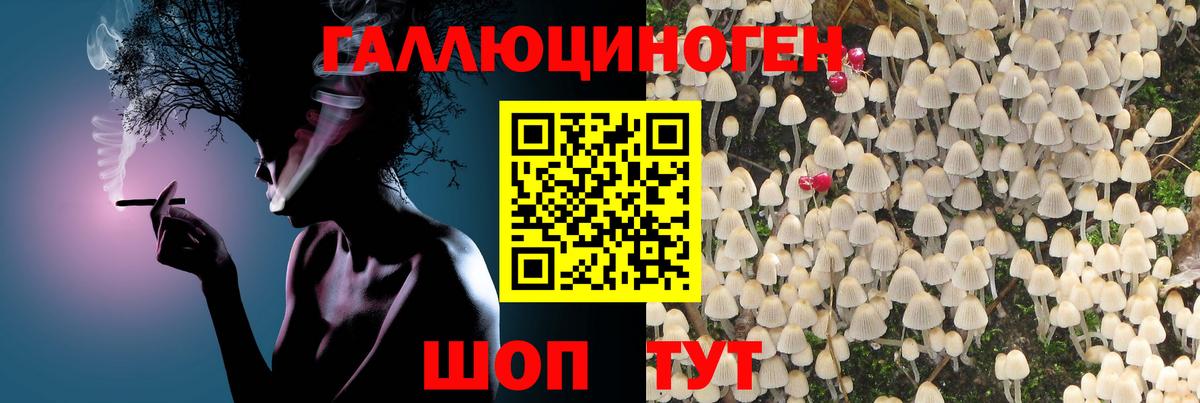 Галлюциногенные грибы Cubensis Лабытнанги